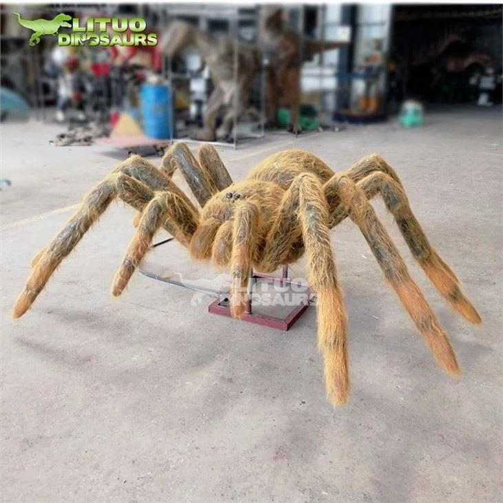 2Spider(001)