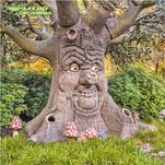 Cây nói chuyện